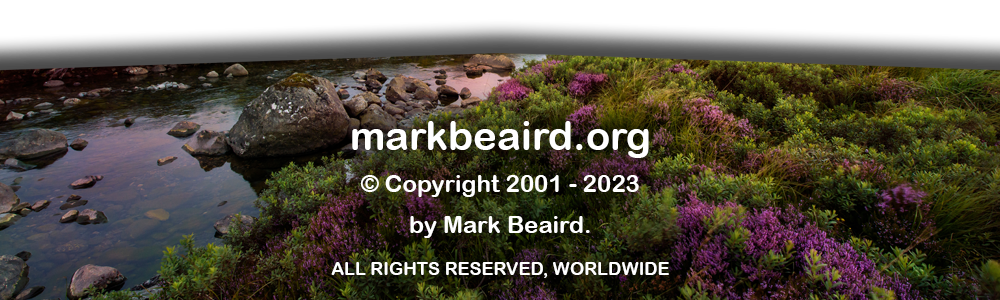 MarkBeaird.org Site Copyright