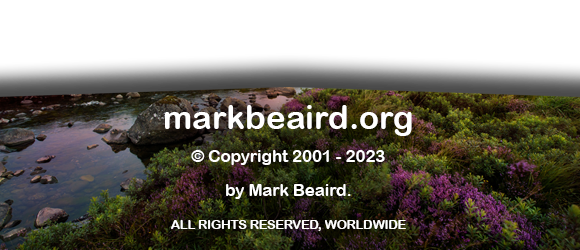 MarkBeaird.org Site Copyright
